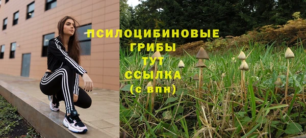 ALPHA-PVP Армянск
