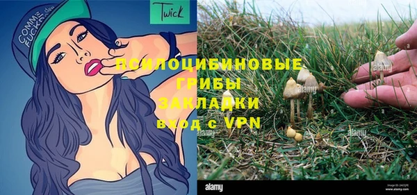 ALPHA-PVP Армянск