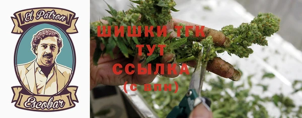 спайс Елизово